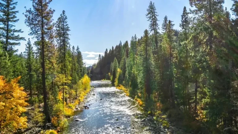Dog-friendly California destination, photo courtesy of Visit California
