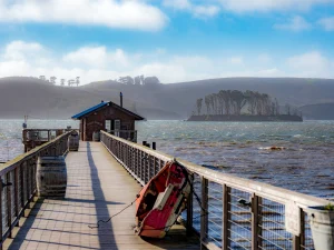 Image from Nick's Cove plans to rebuild the Boat Shack on DogTrekker