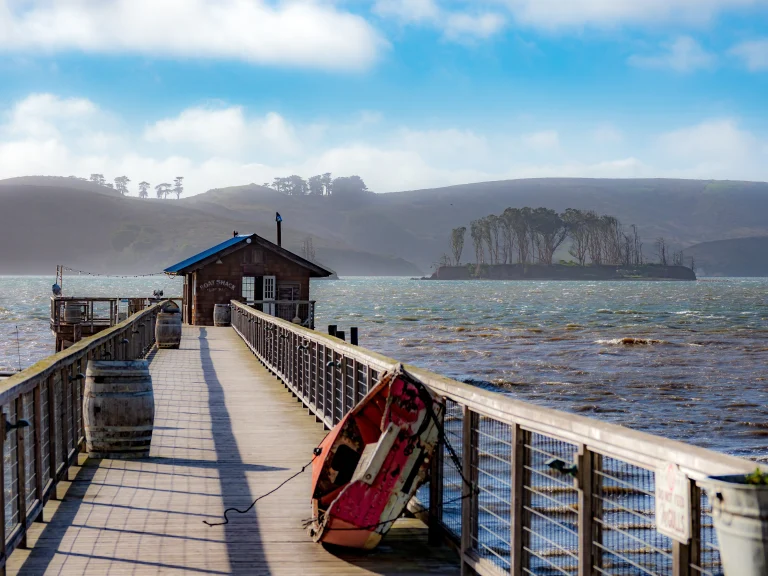 Image from Nick's Cove plans to rebuild the Boat Shack on DogTrekker