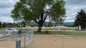 Susanville Bark Park