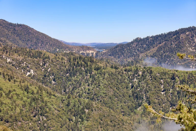 Skyline Trail