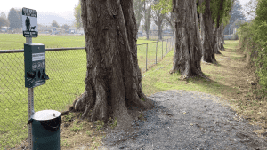 A gravel path runs parallel to a chain-link fence lined with tall trees. Along the fence, a dog waste station provides bags and a trash bin for disposal. On the left side of the path, there is an open grassy area.