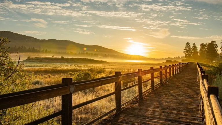 Stanfield Marsh Boardwalk
