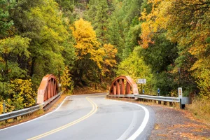 Image from Tehama County: fresh fun in California on DogTrekker