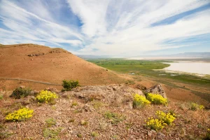 Modoc County: High desert fun for four-legged friends