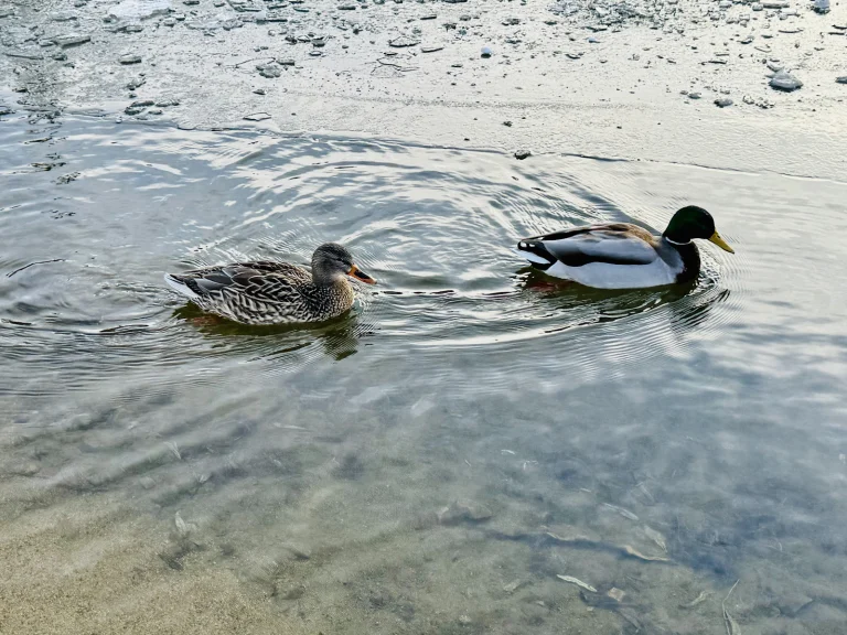 Boulder Bay Park