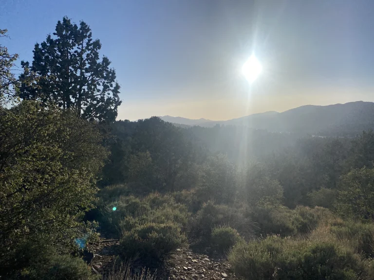 Maple Hill Trails