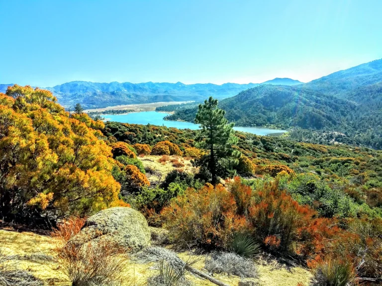 San Bernardino National Forest