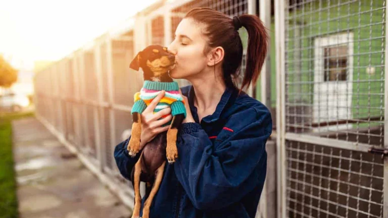 A woman kissing a dog in an animal  shelter.