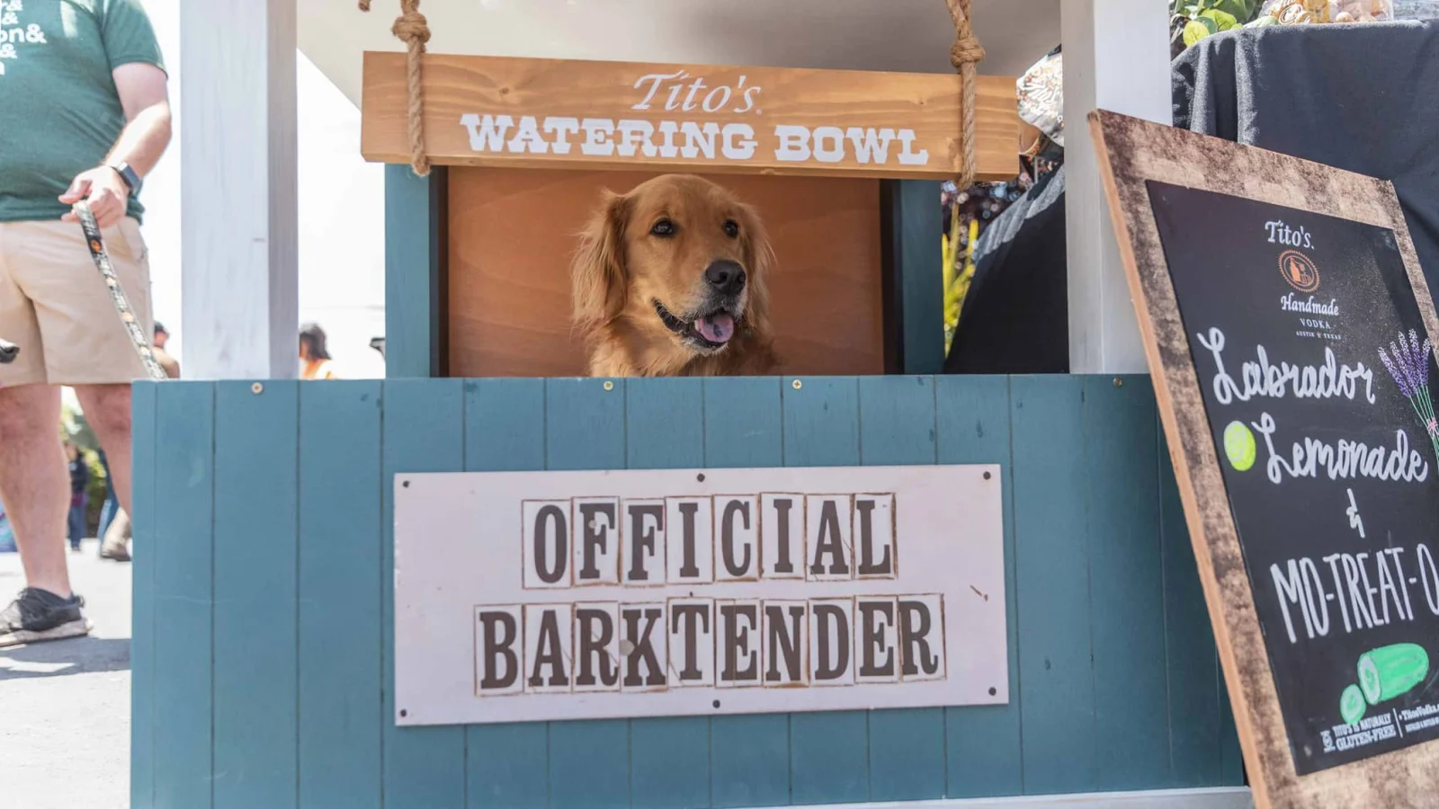 Pints For Paws®