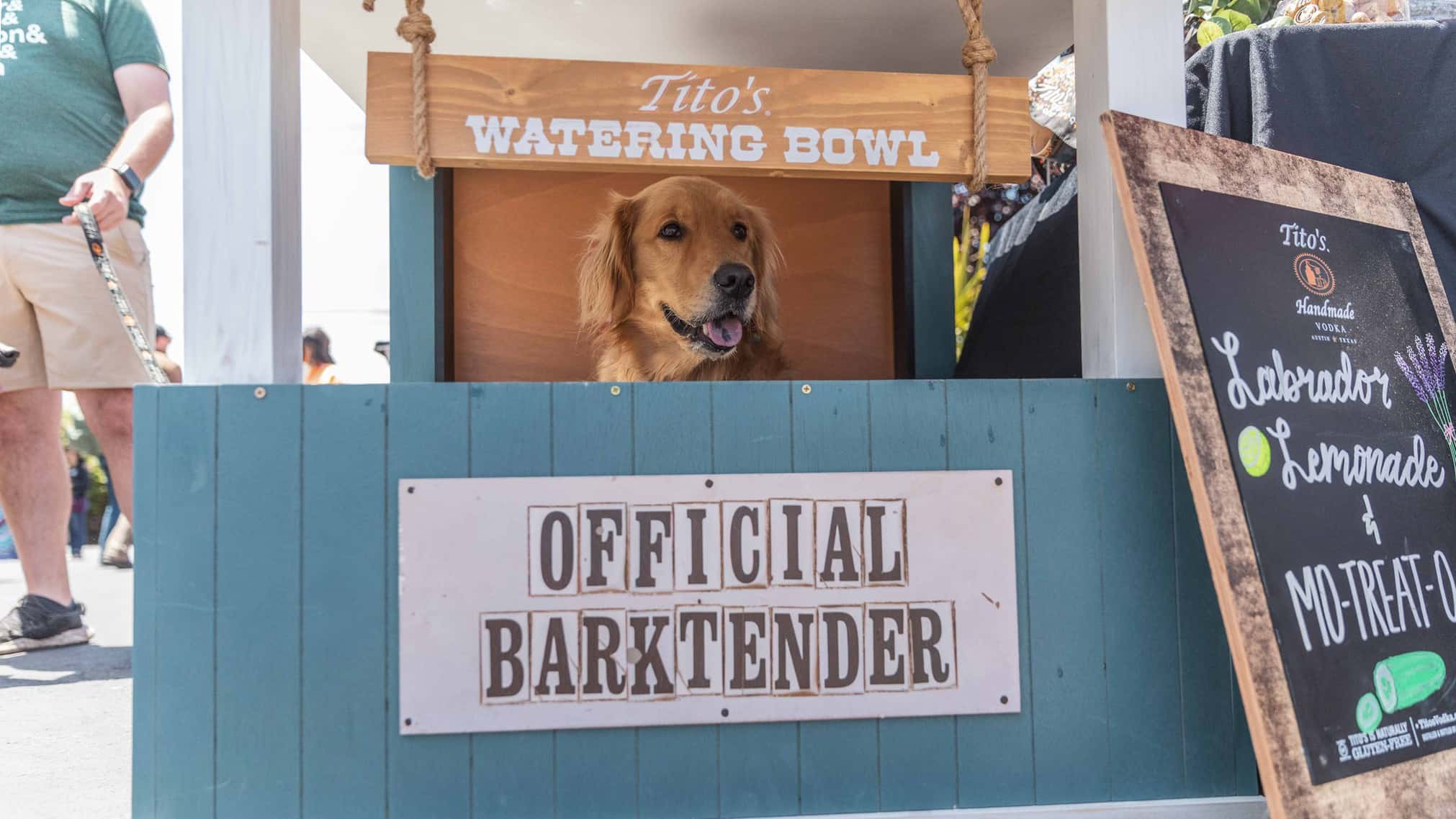 A dog sits in a booth with a sign that says official Barktender.