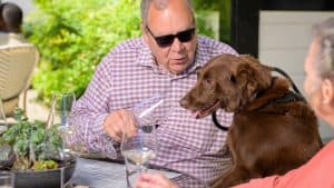 A man and a dog are seated at the Cornerstone Cellars table. - Dogtrekker
