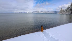 Lake Tahoe is a winter wonderland