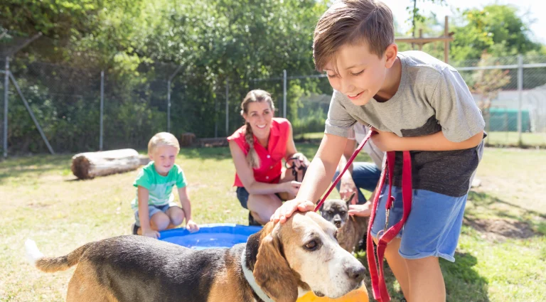 Big Bear Lake Animal Shelter