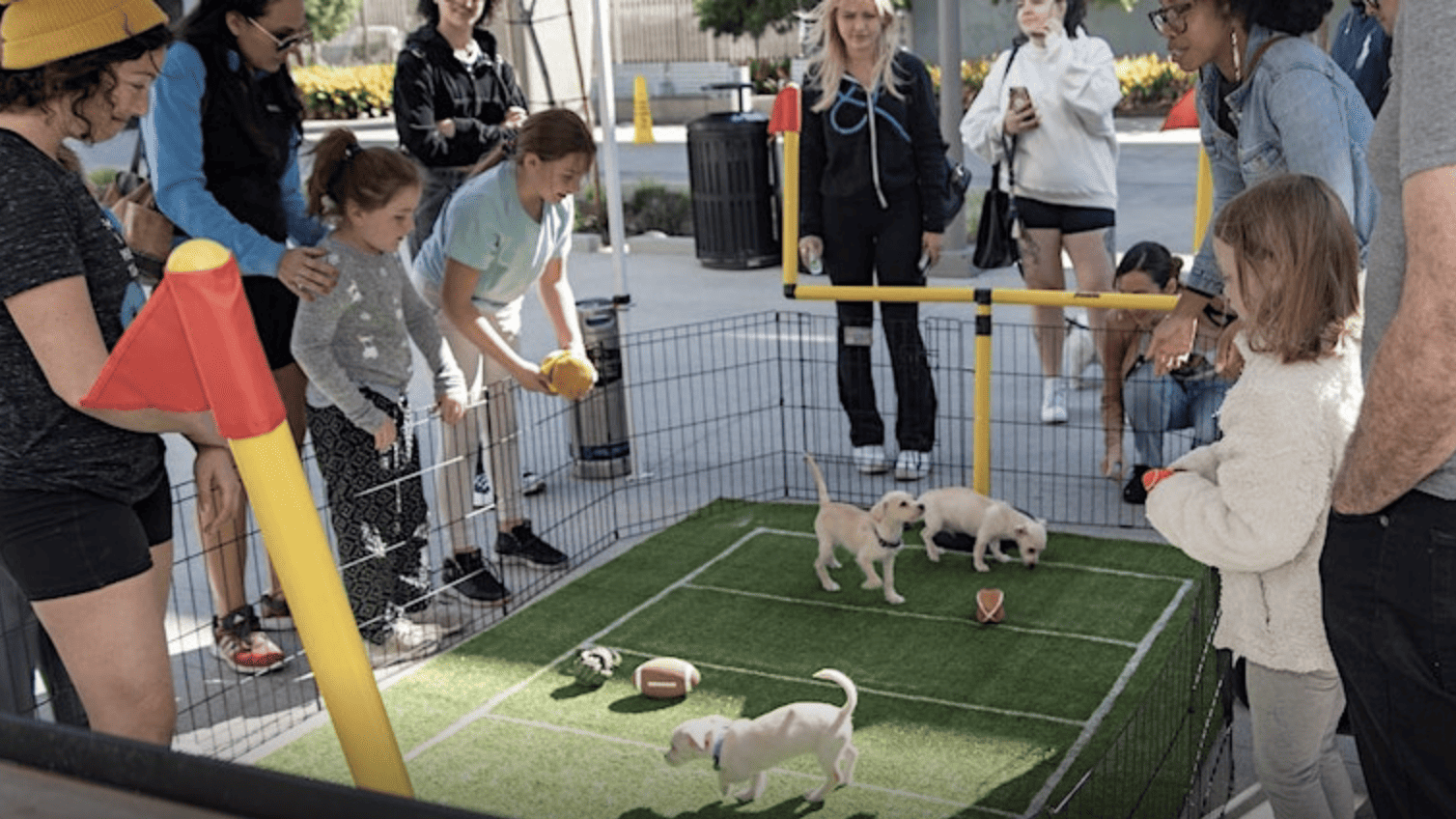 A group of people playing with dogs on a tennis court in Culver City during the Pup-er Bowl event. - Dogtrekker