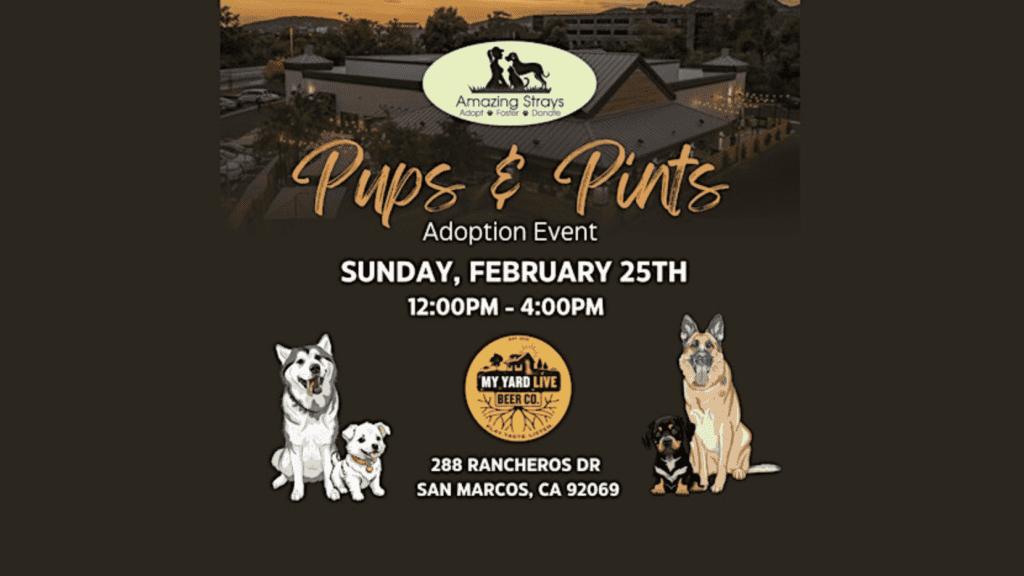 Check out the Pups & Pints event flyer at My Yard Live! - Dogtrekker