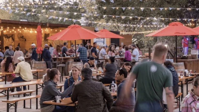 Napa Yard, a dog-friendly bar in Napa, California
