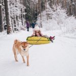 girl having fun dog in the snow