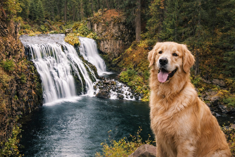 Hit reset in the sunny Shasta Cascade region