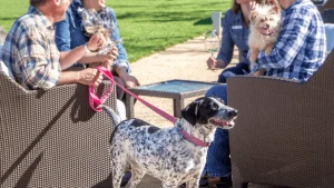 A group of people and a dog enjoying wine on a patio in Napa.