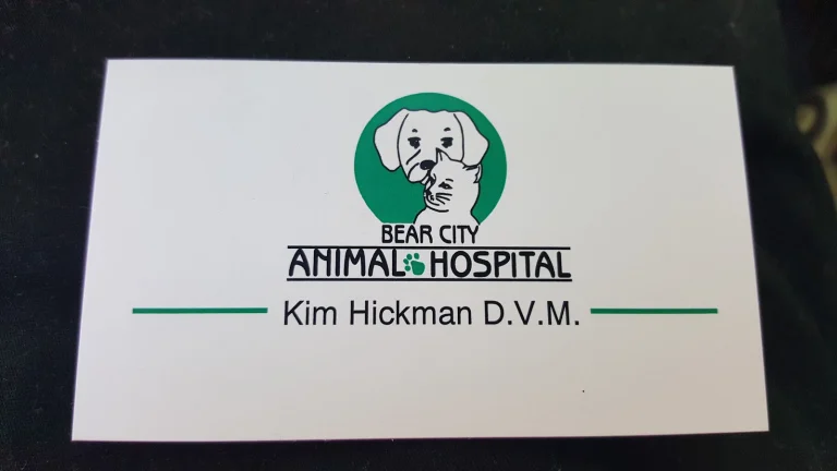 VCA Lakeside Animal Hospital Google Places photo
