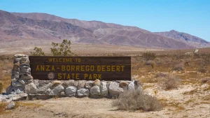 Top 5 dog-friendly adventures in the California deserts