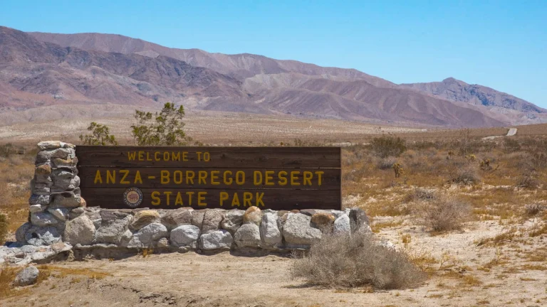 Dog-friendly escapes in California’s desert.