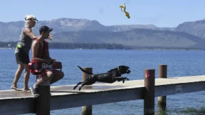 Wild Blue Dogs summer camp early-bird ends March 15