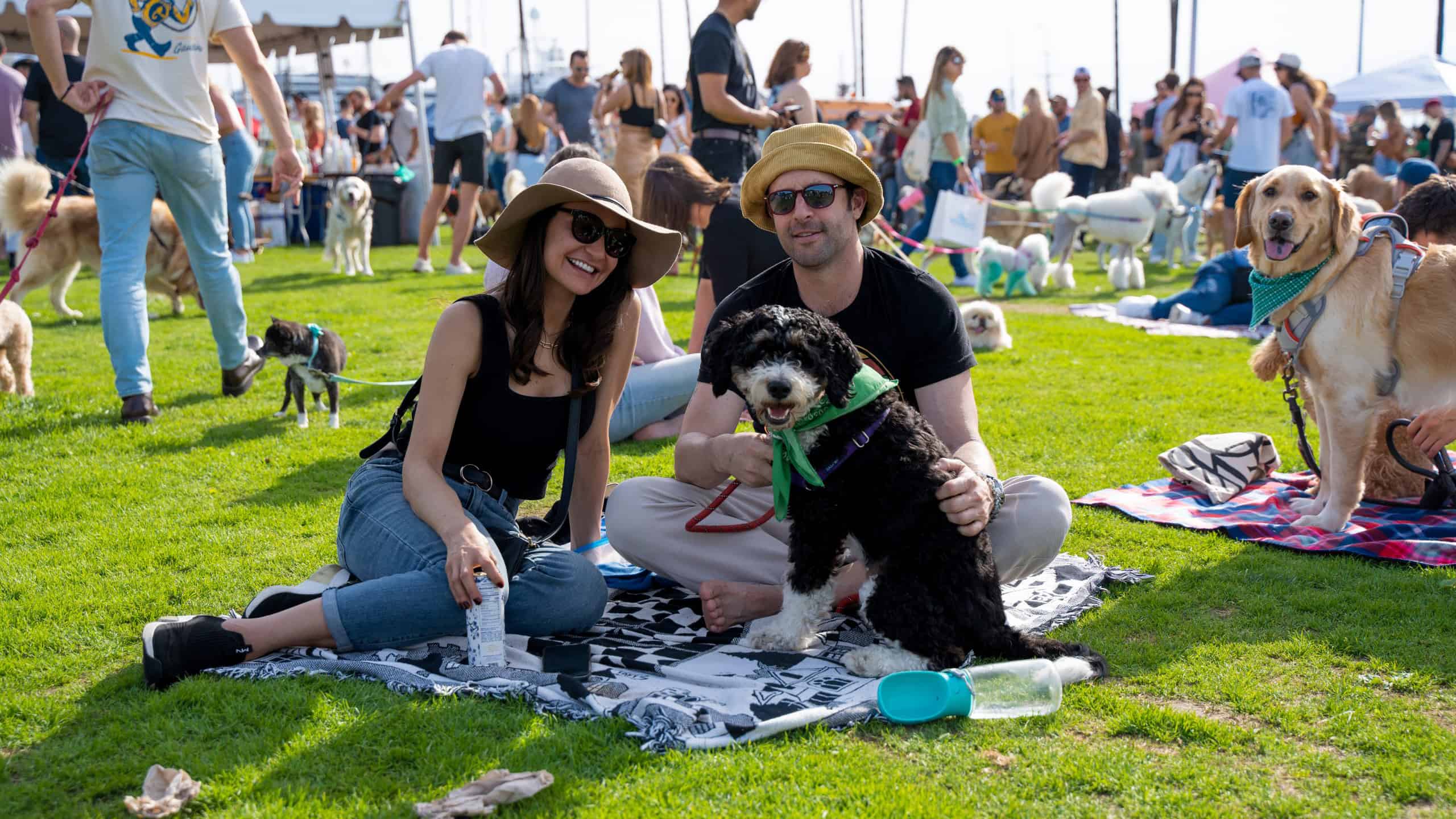 Festival goers sit on blankets on the grass with their dogs at Barks & Brews in San Diego.