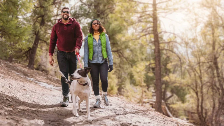 Image from Hit the happy trails on DogTrekker