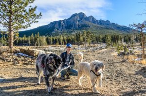 A person in sunglasses and a blue hat kneels on a rocky trail, holding leashes for two dogs—one black, one white. The area is surrounded by forest, with a mountain visible in the distance beneath a clear blue sky.