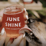 dog licks exterior of a glass of June Shine kombucha