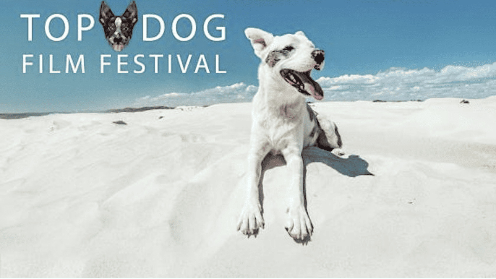 Top Dog Film Festival