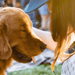 A golden retriever basks in the warm glow of love as it relishes shared moments of affection between two individuals under the open sky at an event called Goldie Palooza, a must-visit extravaganza for dog-lovers seeking fun-filled activities to enjoy with their pets. - Dogtrekker