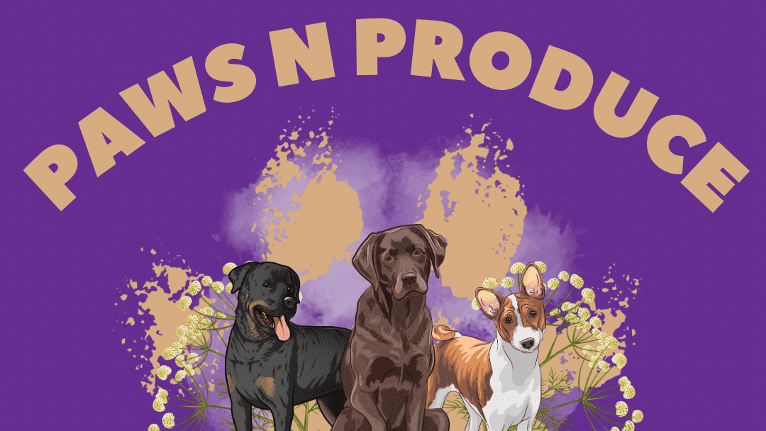 A colorful graphic featuring three whimsically illustrated dogs set against a vibrant purple background, with the inviting text "Paws & Produce Farmers Market for Dogs" playfully emblazoned above them.