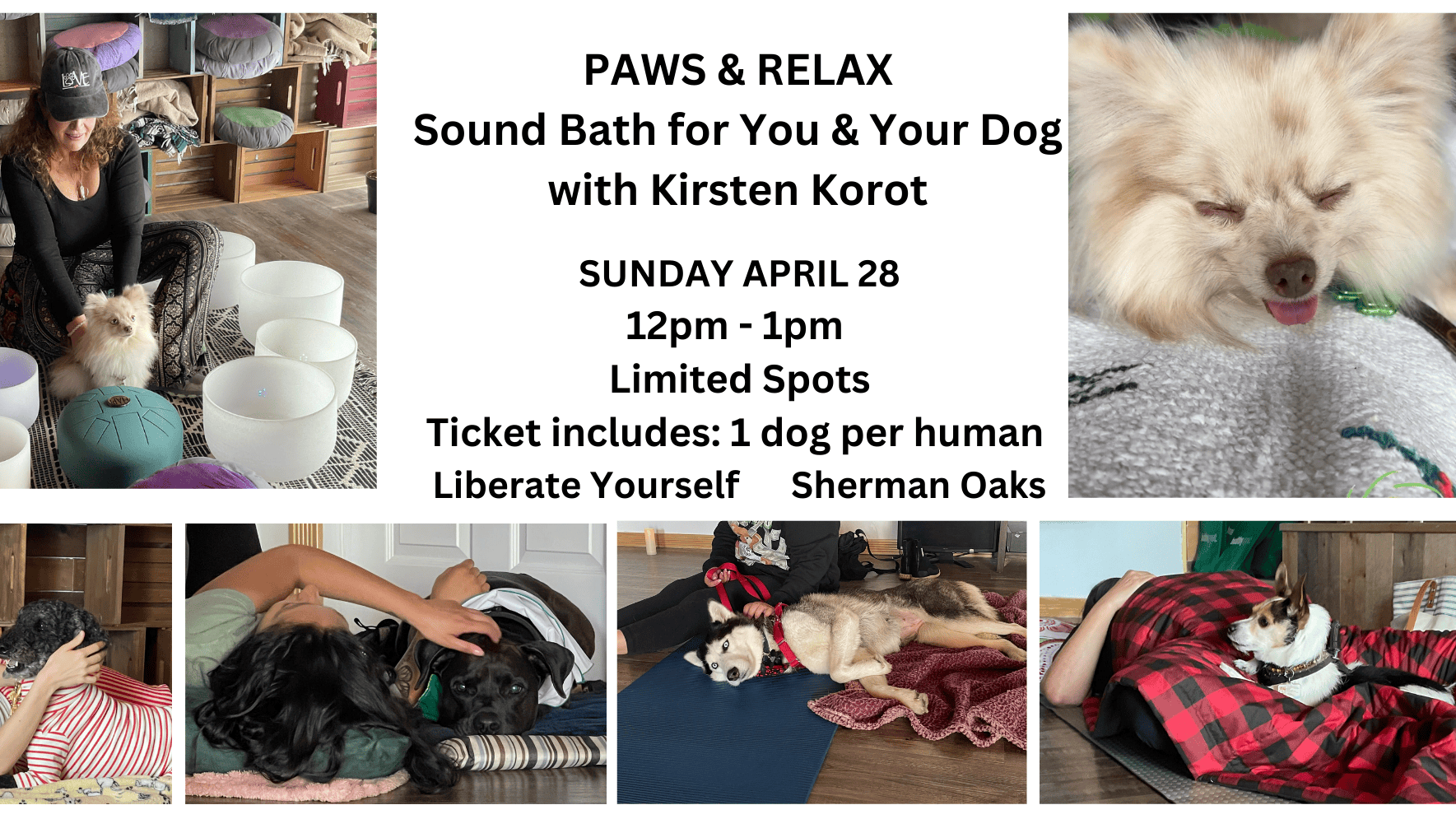 Paws & Relax - Sound Bath with Your Dog banner