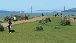 Spring adventures with your furry friends at East Bay regional park district