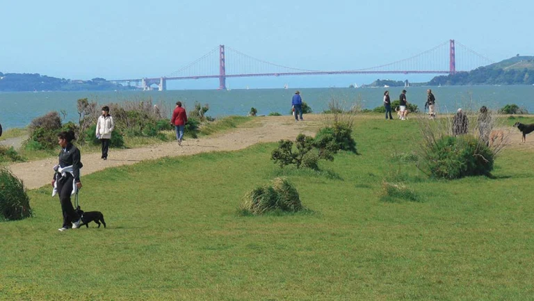 Point Isabel Regional Shoreline.