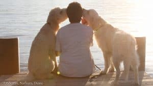 A tender scene on a dock at sunset, where an individual is accompanied by two faithful canines companions giving them kisses.