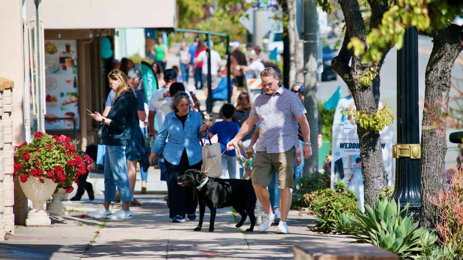 people and dogs walking at the KTBA Spring Walkabout,