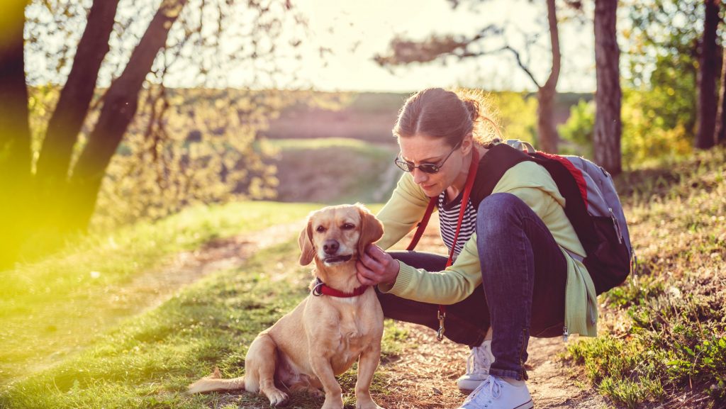 A woman, adorned in chic sunglasses and shouldering a robust backpack, affectionately pets her small golden canine companion. They find themselves soaking up the sunshine amidst the tranquil beauty of a forest trail tucked away in glorious California. The perfect destination for dog-owners who wish to immerse their furry friends in nature's splendour and serenity. - Dogtrekker