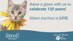 EB SPCA Auction is live poster