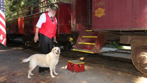 Day 1: Inland wine trails and train rides