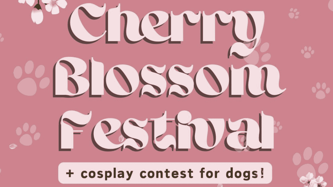 Cherry Blossom Festival with cosplay for dogs!
