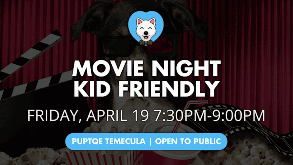 Movie Night Kid Friendly