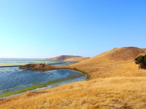 Coyote Hills Regional Park Google Places photo
