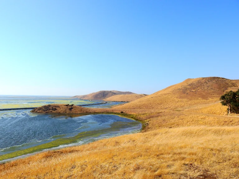 Coyote Hills Regional Park