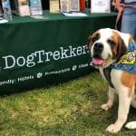 A Saint Bernard dog sitting in front of the DogTrekker banner at an outdoor booth.