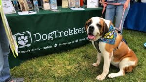 A Saint Bernard dog sitting in front of the DogTrekker banner at an outdoor booth.