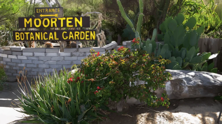 moorten-botanical-garden-palm-springs-cactus-garden-gallery-13